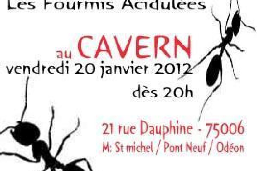 concert rock Fourmis Acidulées