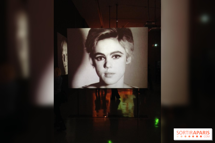 Andy Warhol au MAMVP