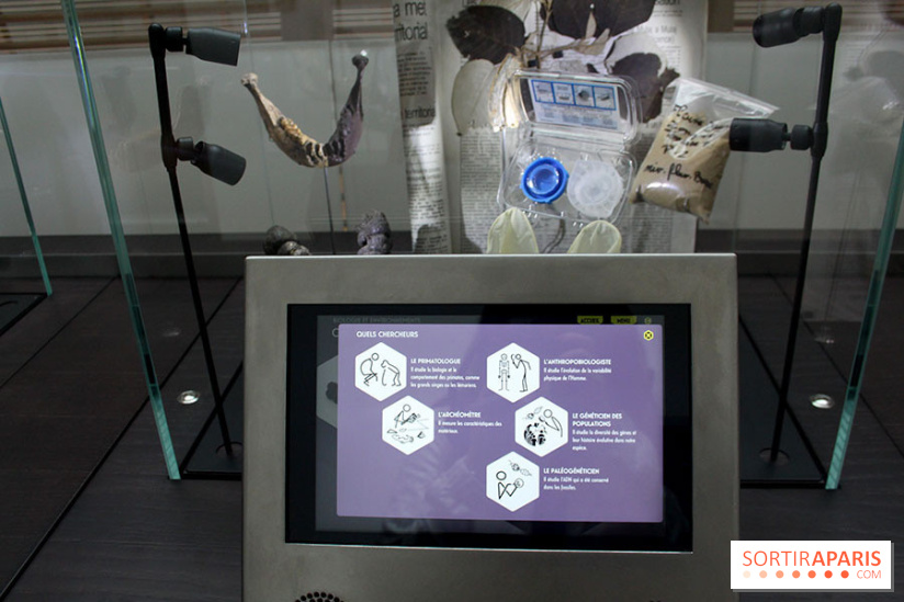 Le nouveau Musée de l'Homme