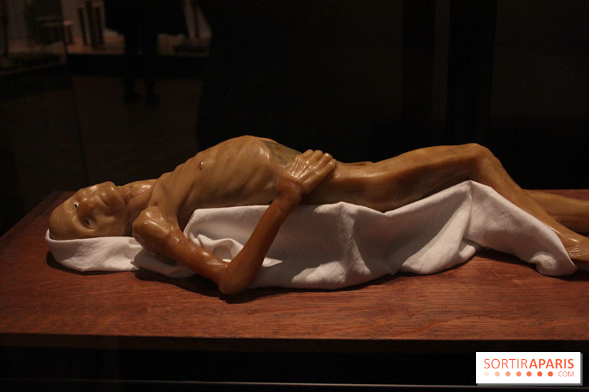 Le nouveau Musée de l'Homme 