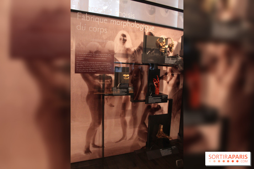 Le nouveau Musée de l'Homme 