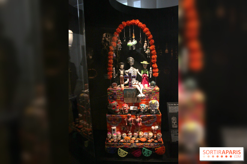 Le nouveau Musée de l'Homme