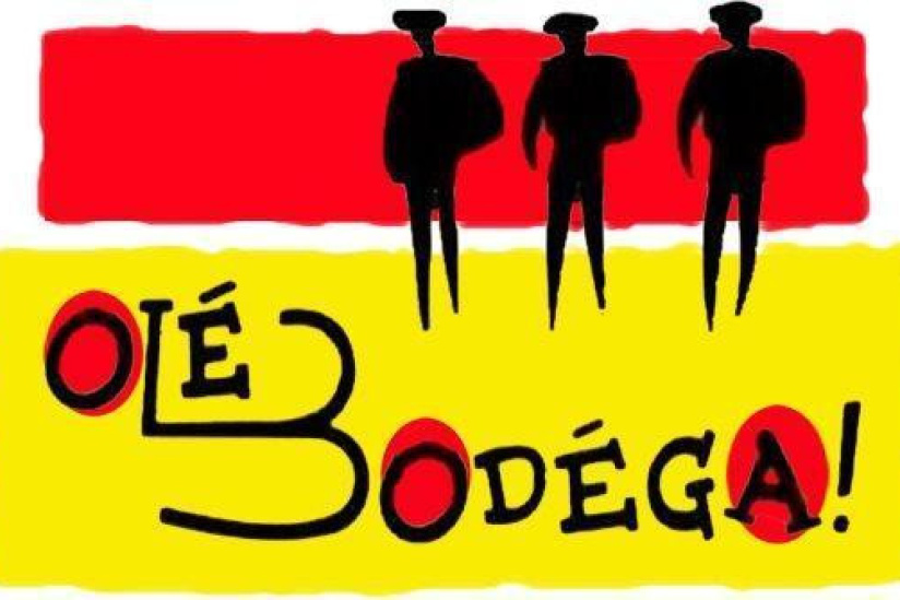 retransmission FRANCE IRLANDE sur écran