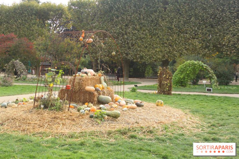 FIAC 2015, le hors-les-murs au Jardin des Plantes