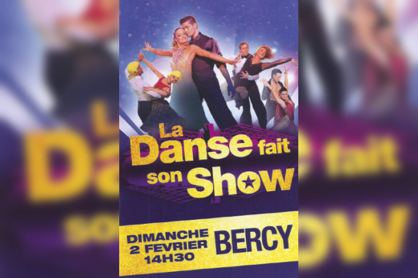 La Danse fait son Show 2014 à Paris Bercy