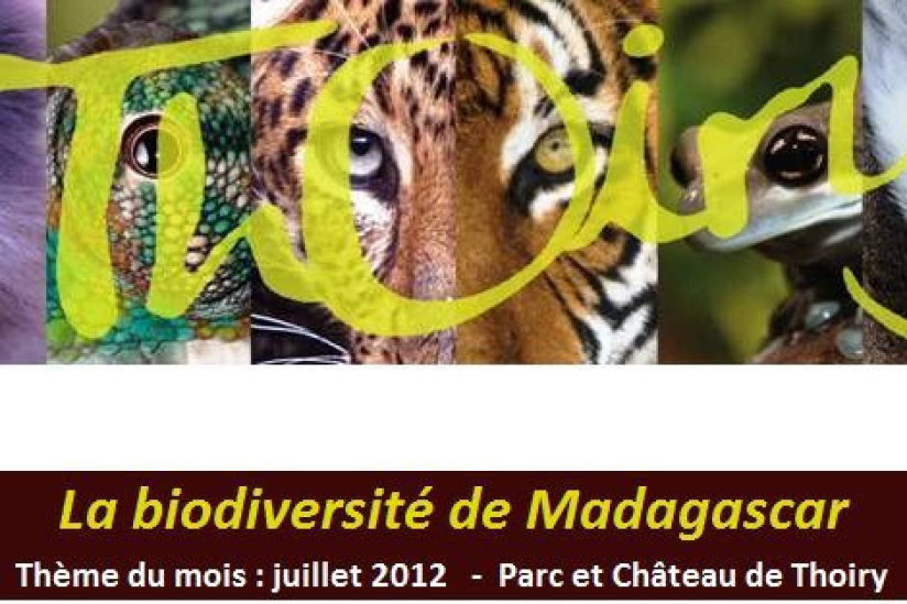 Madagascar à l’honneur au Parc de Thoiry