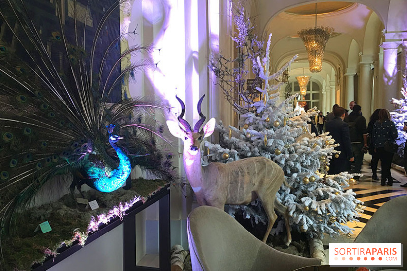 Noël au Trianon palace avec Deyrolle