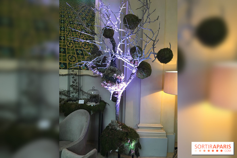 Noël au Trianon palace avec Deyrolle