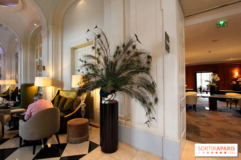 Noël au Trianon palace avec Deyrolle