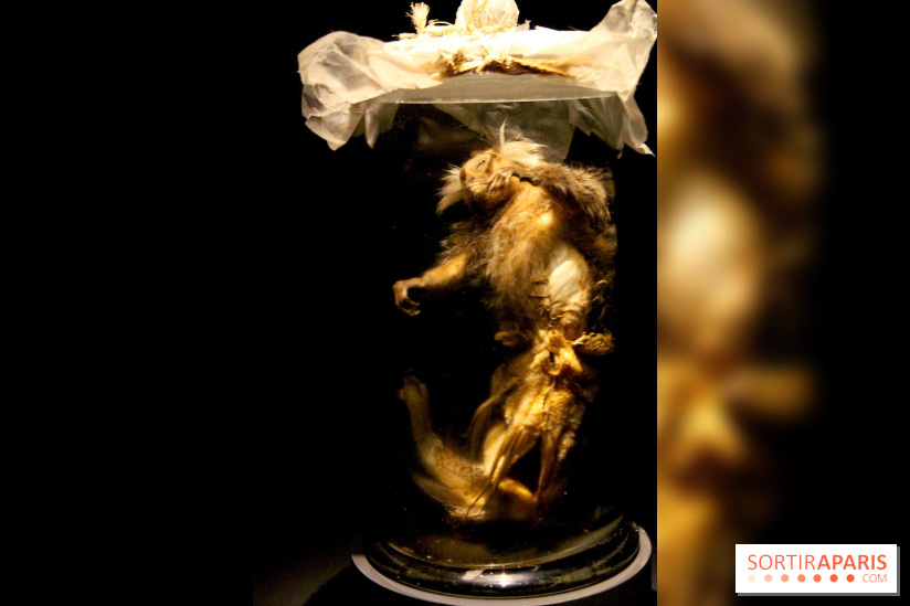 Persona, l'exposition terrifiante au Musée du Quai Branly