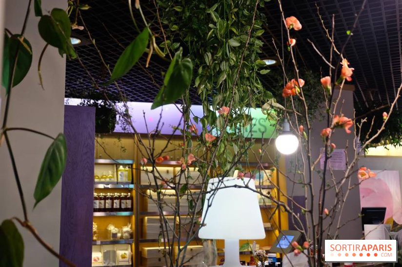 Nouveautés Aroma-Zone