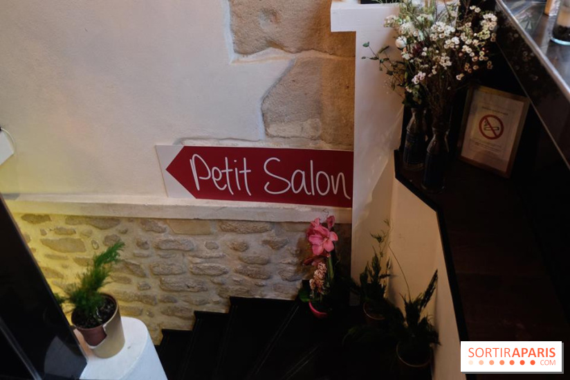 LSD : Les Souris Dansent