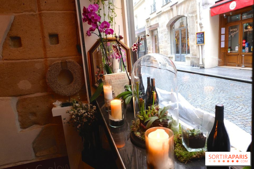 LSD : Les Souris Dansent