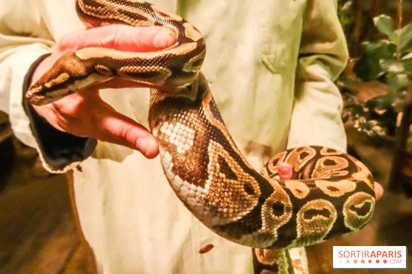 Comptoir General "Le Bon Voyage"