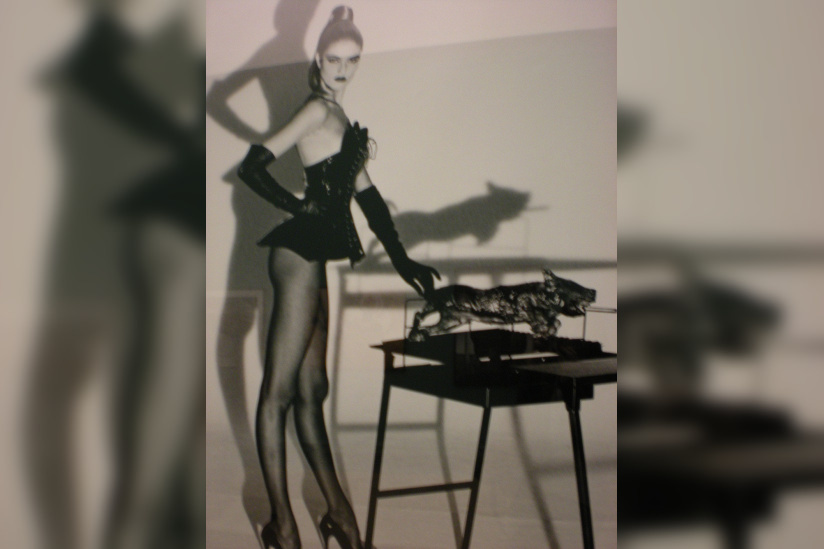 Helmut Newton au Grand Palais