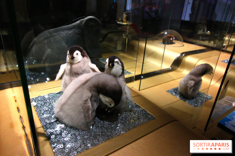 Exposition BéBés animaux à la Cité des Sciences, les photos