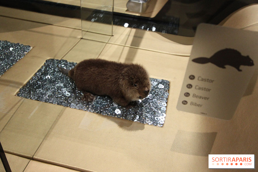 Exposition BéBés animaux à la Cité des Sciences, les photos