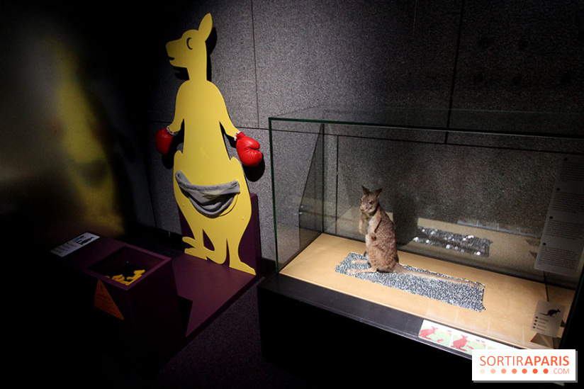 Exposition BéBés animaux à la Cité des Sciences, les photos