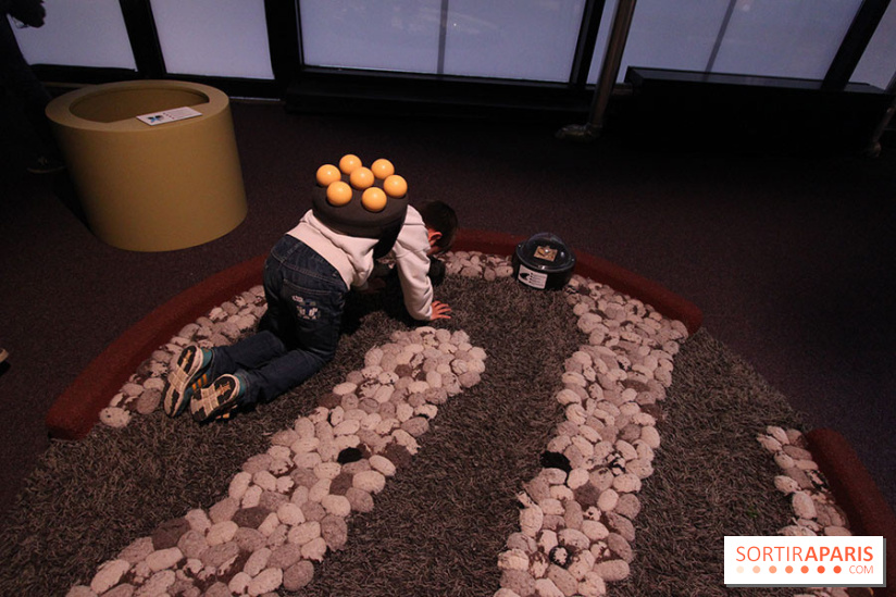 Exposition BéBés animaux à la Cité des Sciences, les photos