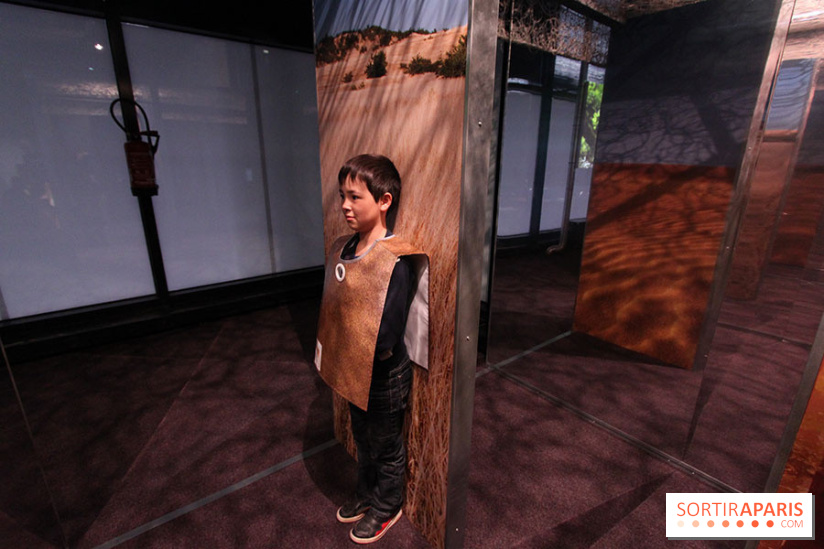 Exposition BéBés animaux à la Cité des Sciences, les photos