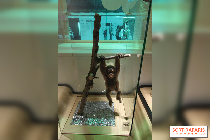 Exposition BéBés animaux à la Cité des Sciences, les photos