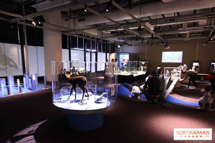 Exposition BéBés animaux à la Cité des Sciences, les photos