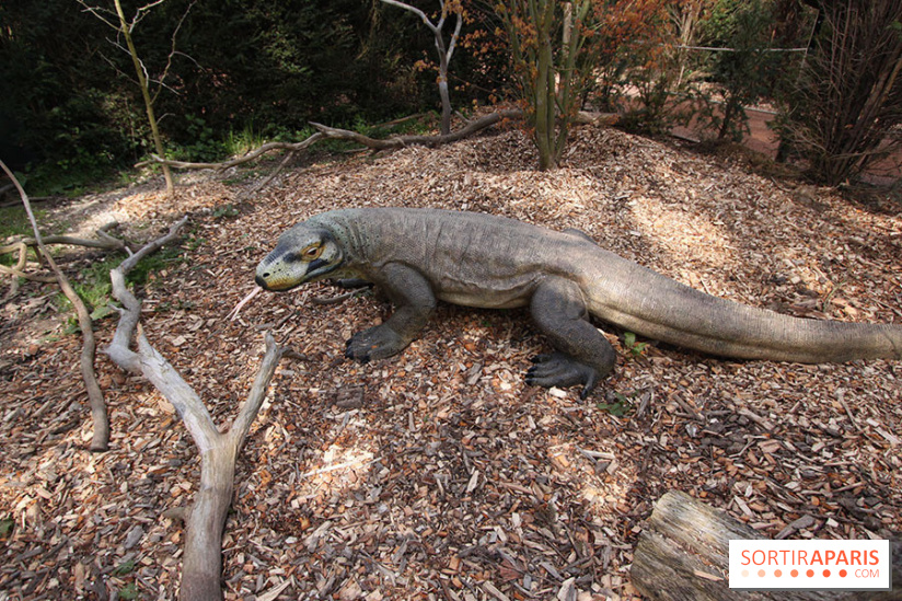 Le Labyrinthe de Thoiry