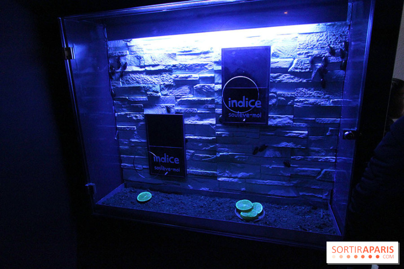 Le Labyrinthe de Thoiry