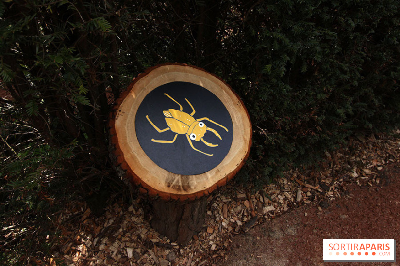 Le Labyrinthe de Thoiry