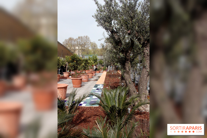 Jardin d'Orient à l'Institut du Monde Arabe