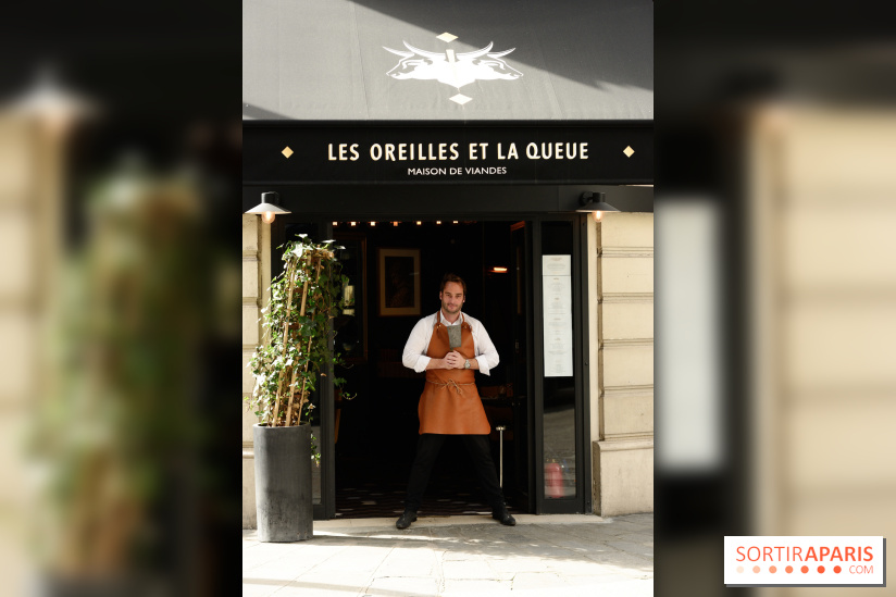 Les Oreilles et la Queue