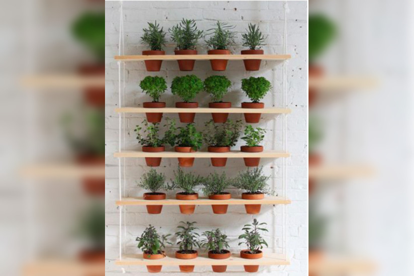 Madeleine & Gustave : troc des plantes