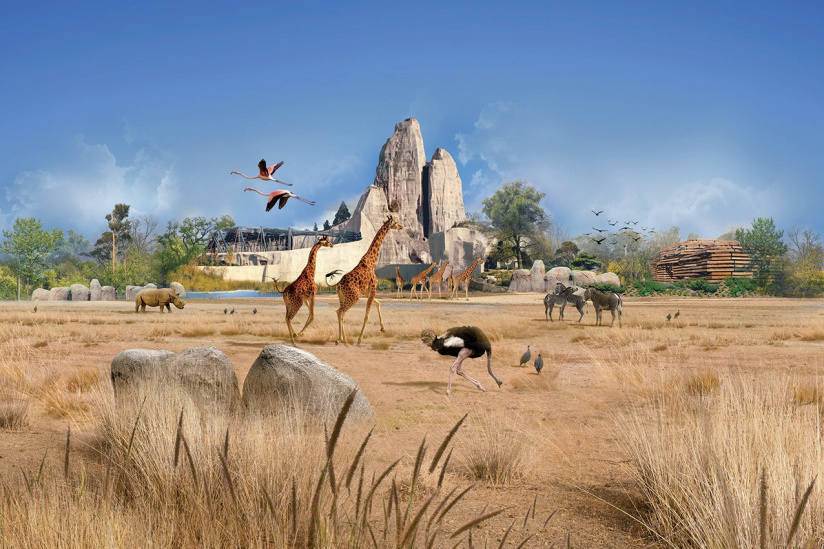 La Fête du Cinéma - Le Parc Zoologique de Paris fête le cinéma en plein air 