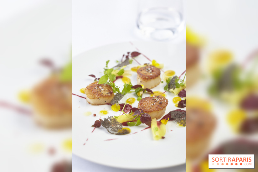 Le restaurant de la Maison de l'Amérique Latine se rénove