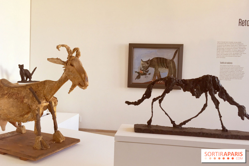 Picasso-Giacometto au Musée Picasso