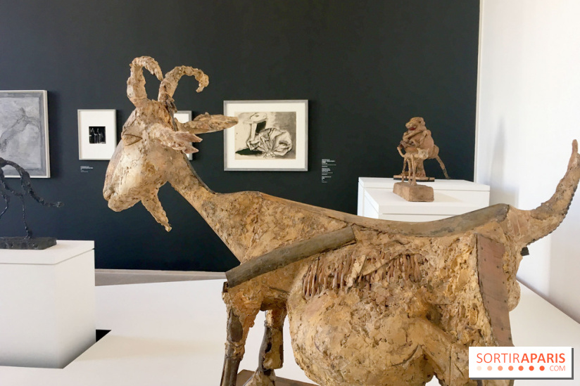 Picasso-Giacometto au Musée Picasso