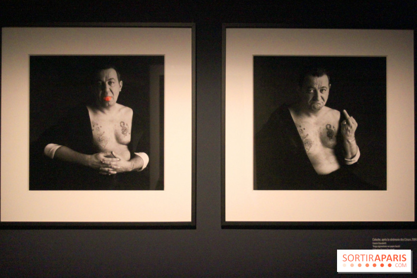 Coluche, l'exposition à l'Hôtel de Ville