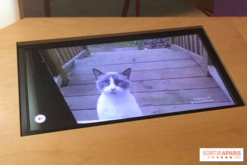 Viral, l'expo au Palais de la Découverte