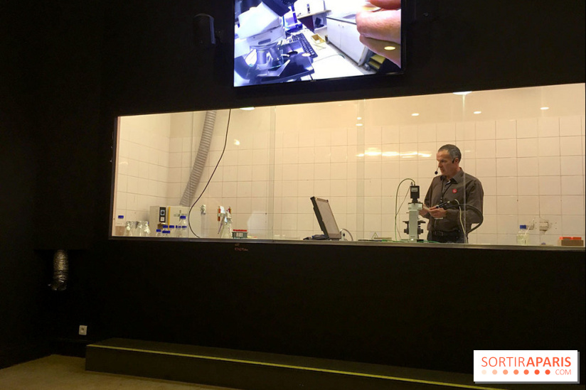 Viral, l'expo au Palais de la Découverte