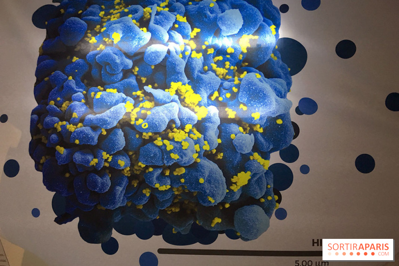 Viral, l'expo au Palais de la Découverte