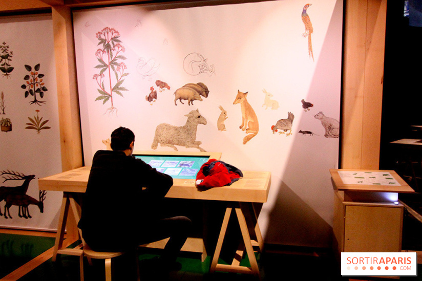 Exposition Moyen-Age à la Cité des Sciences