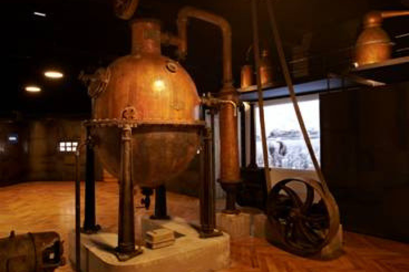 Le musée Fragonard fait sa rentrée !