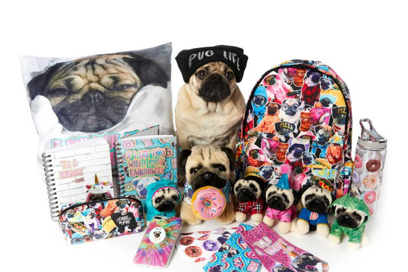 Le chien star Doug the Pug s’invite aux 4 Temps,