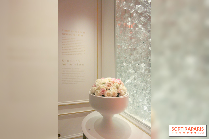 Le Grand Musée du Parfum