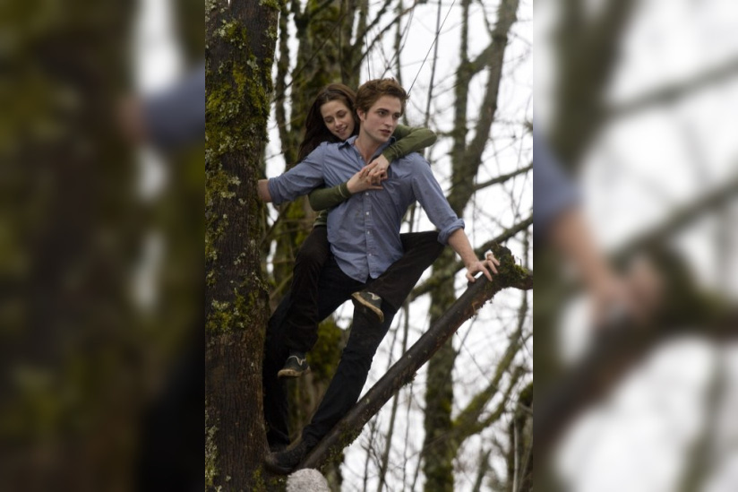 Twilight, parodie, cheeseburger