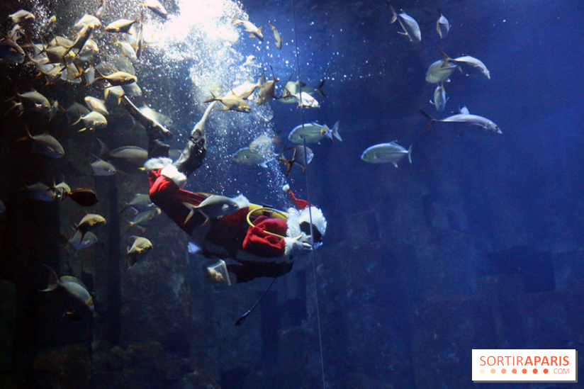 Aquarium de Paris Décembre 2016