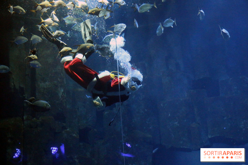 Aquarium de Paris Décembre 2016