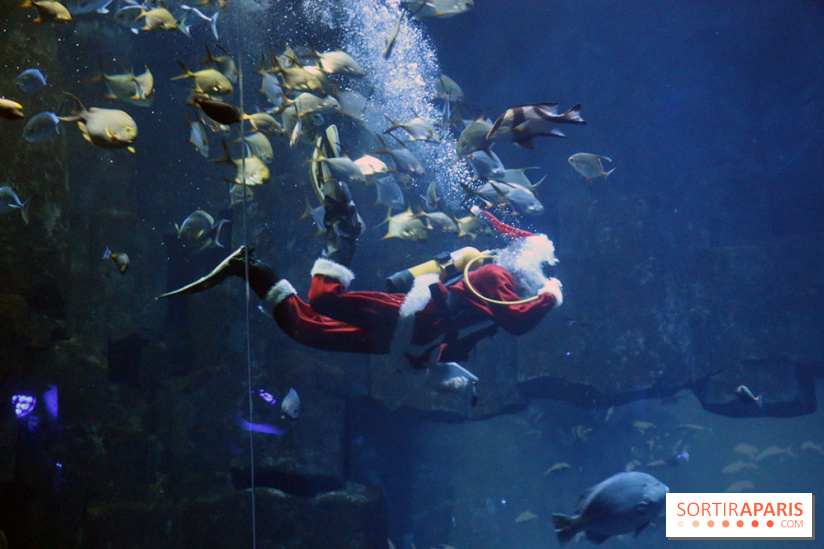 Aquarium de Paris Décembre 2016