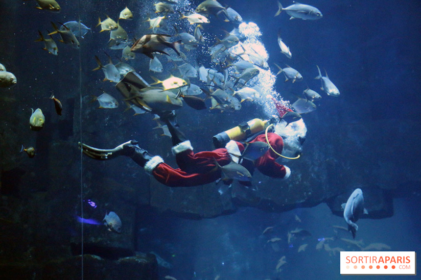 Aquarium de Paris Décembre 2016