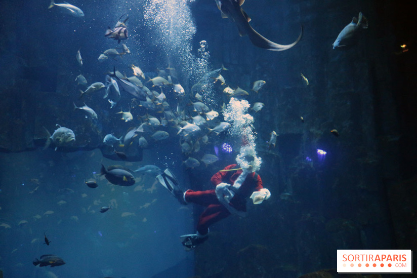 Aquarium de Paris Décembre 2016